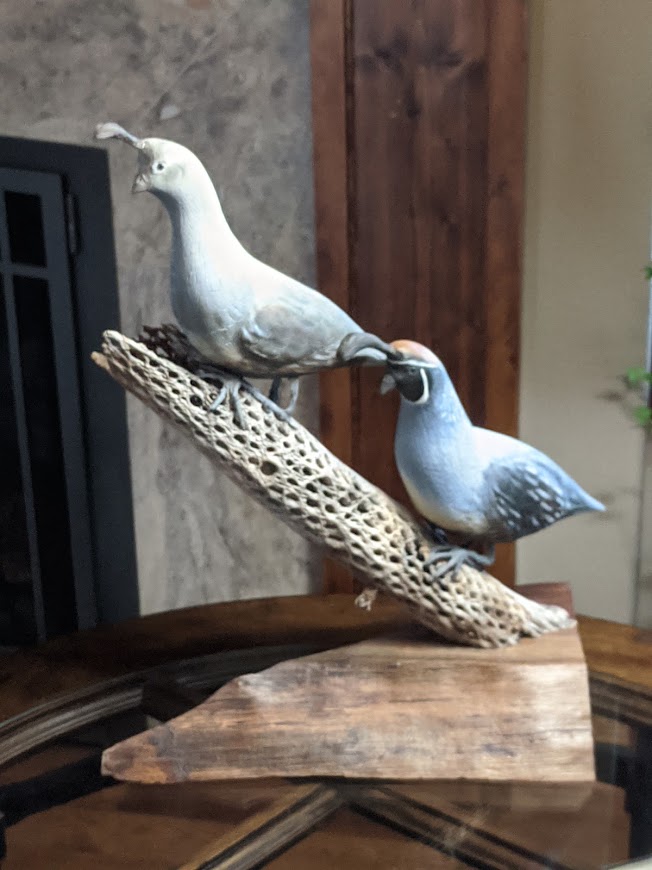 Gambel's Quail