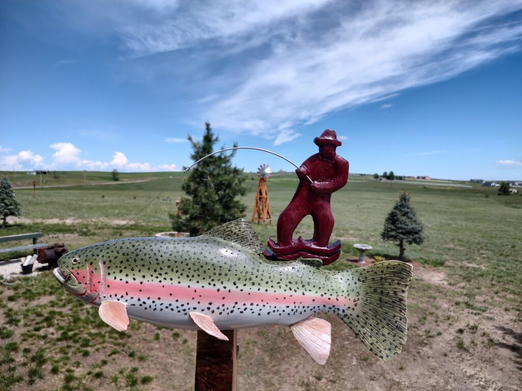 Rainbow Trout Fighting the Fisherman