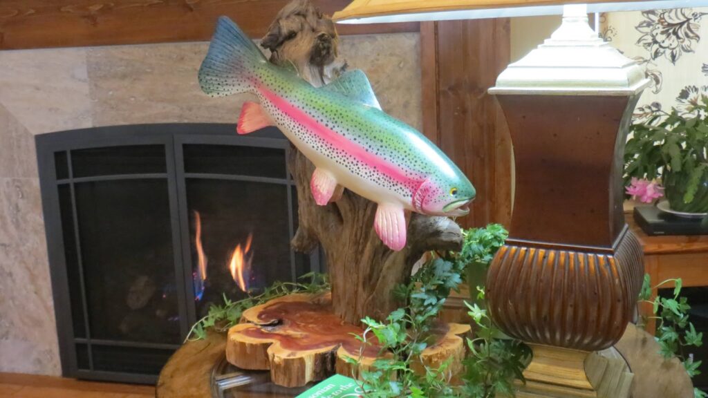 Rainbow Trout hand carved oil paint