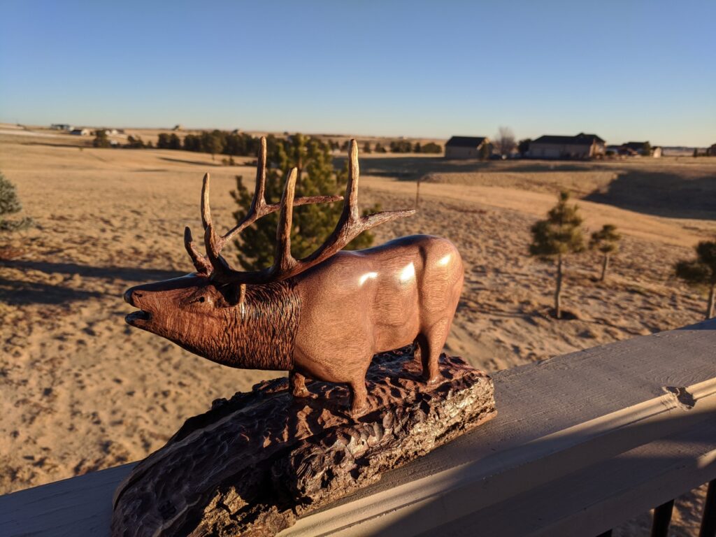 Bugling Bull Elk hand carved walnut in wallow